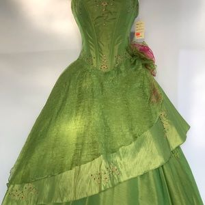 Quinceañera/Prom dress.